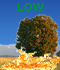 Fire Weather Index: LOW